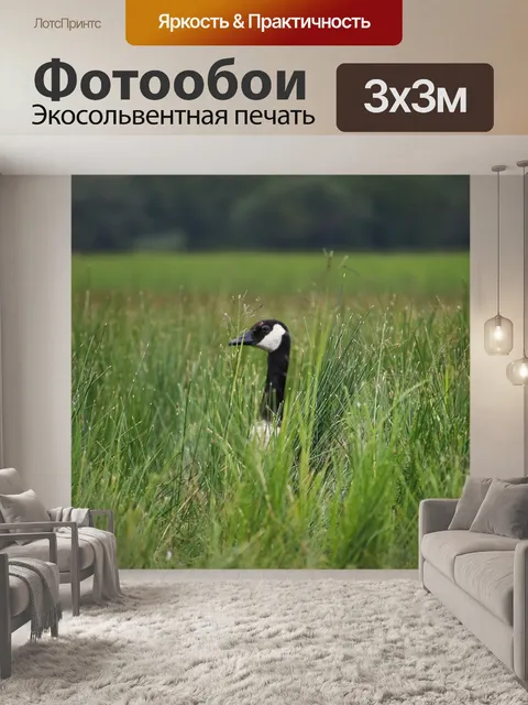 Фотообои Гусь