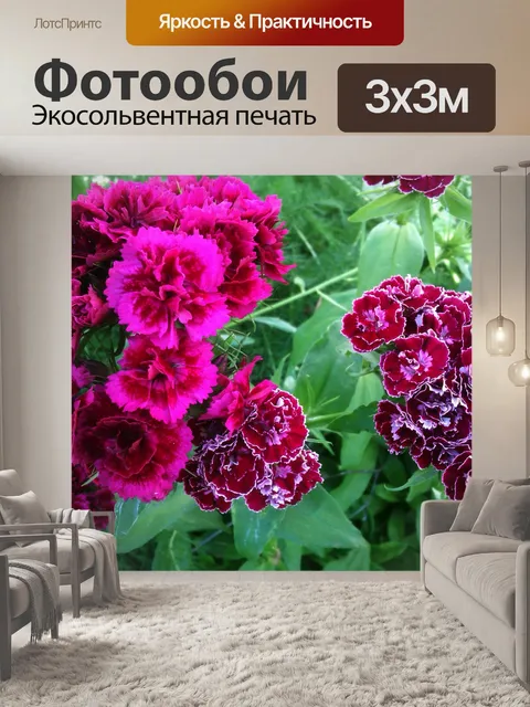 Фотообои фиолетовыми цветами
