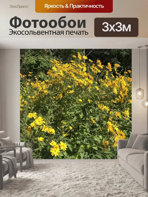 Фотообои Цветок
