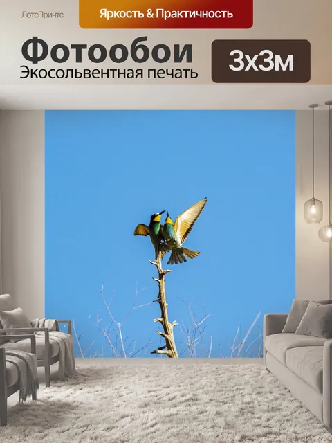 Фотообои Птица