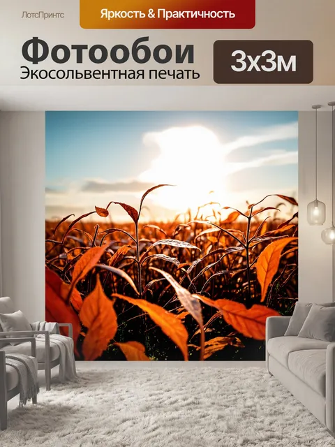 Фотообои поле, устланное красновато-коричневыми листьями, под ярким светом заката