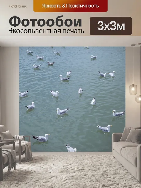 Фотообои Чайки в море