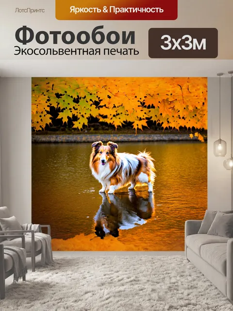 Фотообои шелти, играющая на берегу озера, отражающего яркие осенние листья