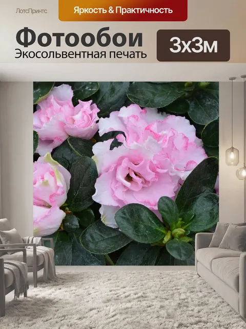 Фотообои Цветы розы белые