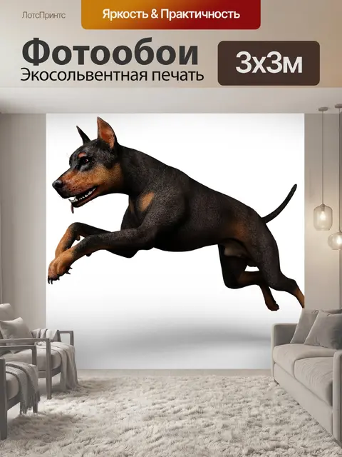 Фотообои Animal