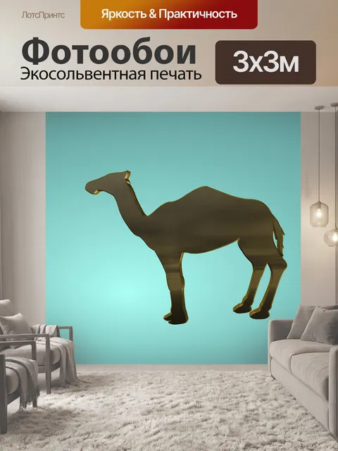 Фотообои Верблюд