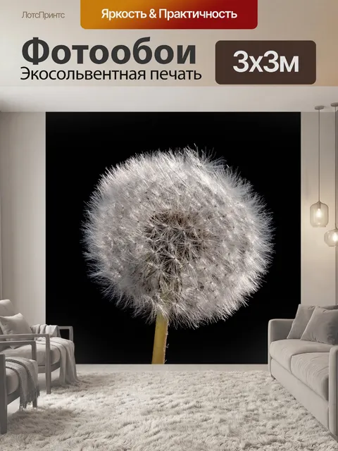 Фотообои Одуванчик