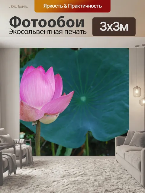 Фотообои Цветы