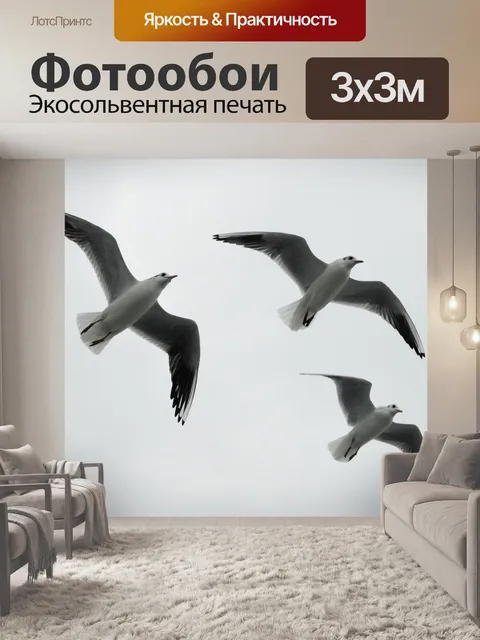 Фотообои Чайки