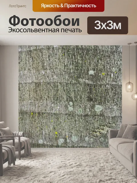 Фотообои пальма остановить близкий вид текстуры