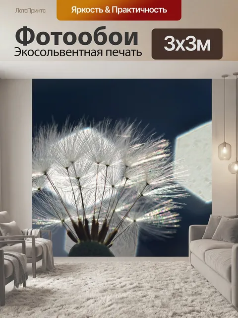 Фотообои Одуванчик