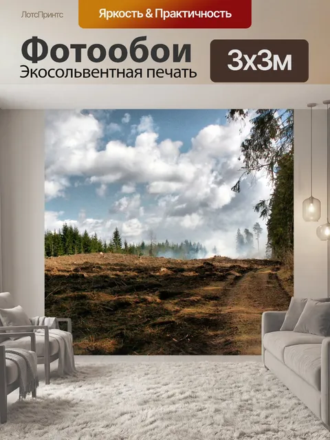 Фотообои Лес