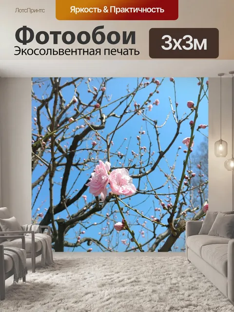 Фотообои Вишня в цвету