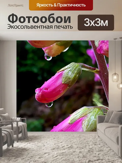 Фотообои Природа