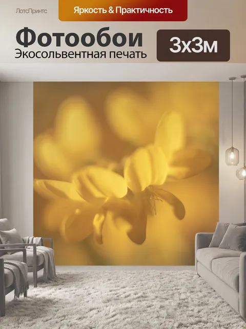 Фотообои Фотографии timeo