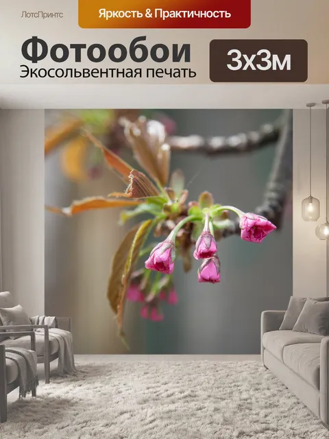 Фотообои Цветы