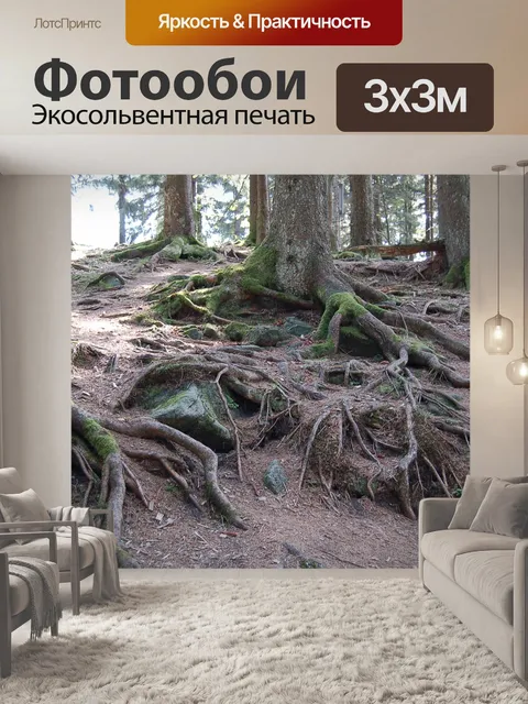 Фотообои Корень