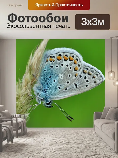 Фотообои Голубоватый
