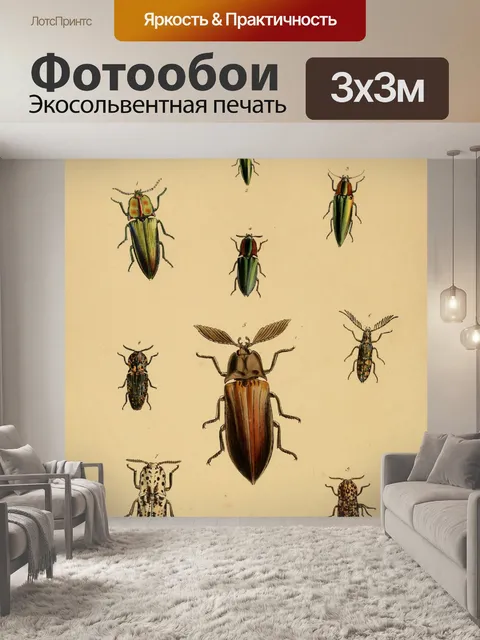 Фотообои Винтажные жуки иллюстрации искусства