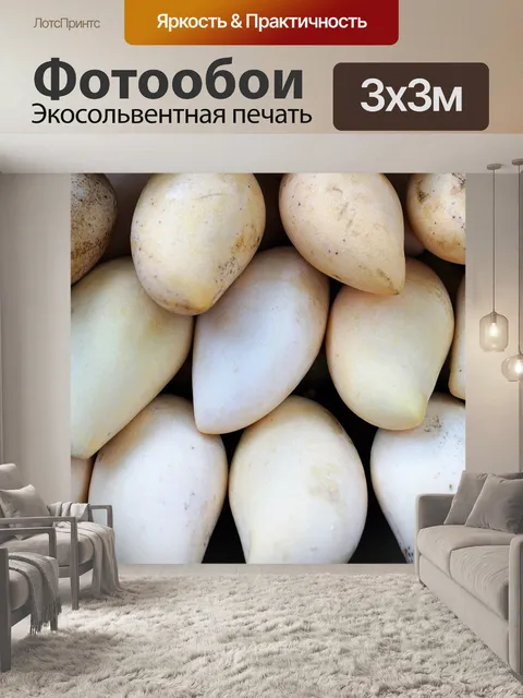 Фотообои Еда