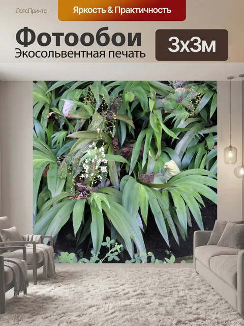 Фотообои Белый цветок с длинными листьями 2