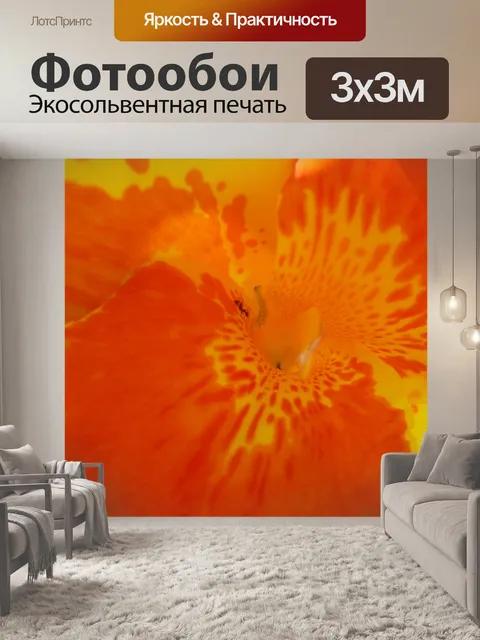 Фотообои Цветок закрыть