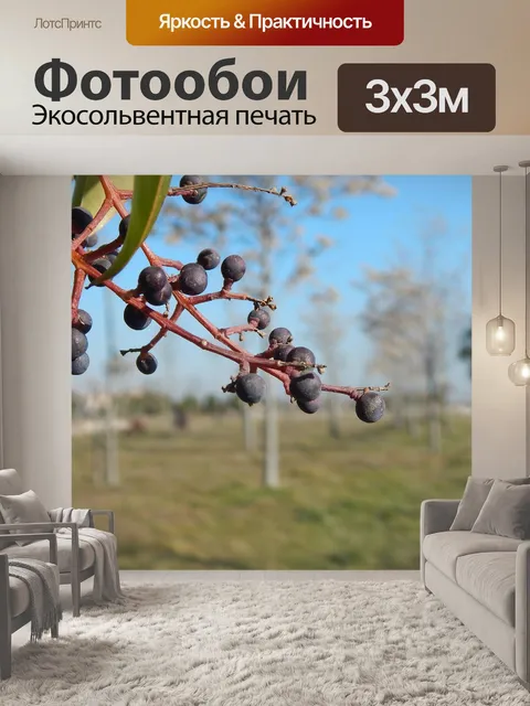 Фотообои Дерево
