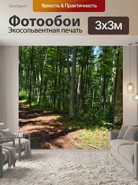 Фотообои Лес