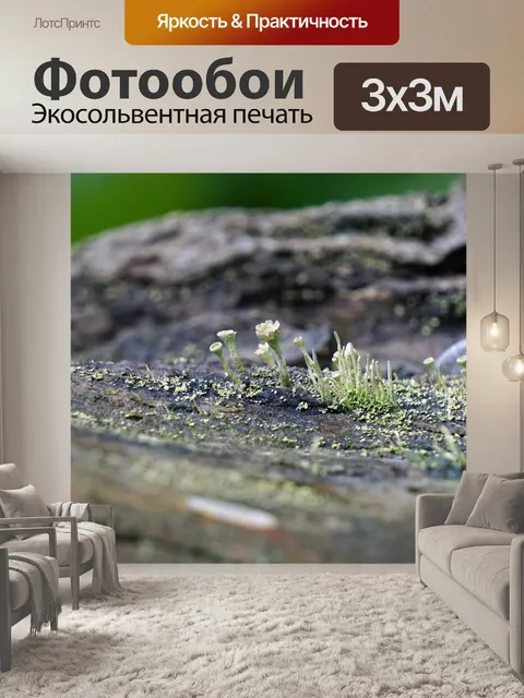 Фотообои Дерево