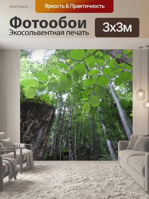 Фотообои Лес