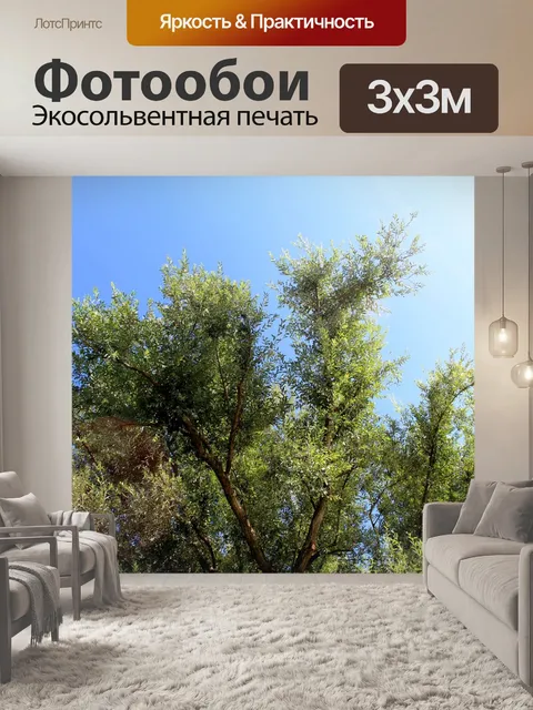 Фотообои Природа