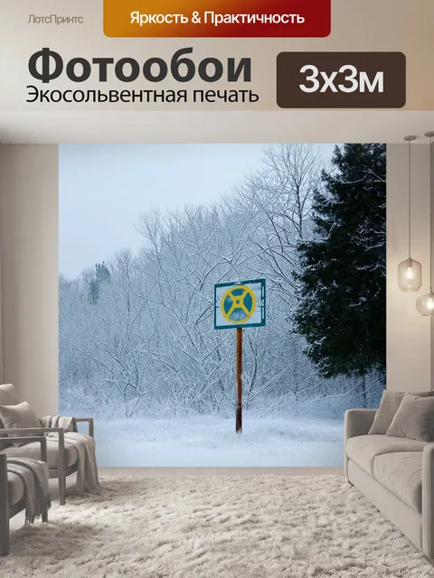 Фотообои чернобыльский знак города, завуалированный снегом и инеем, с тёмными деревьями на фоне