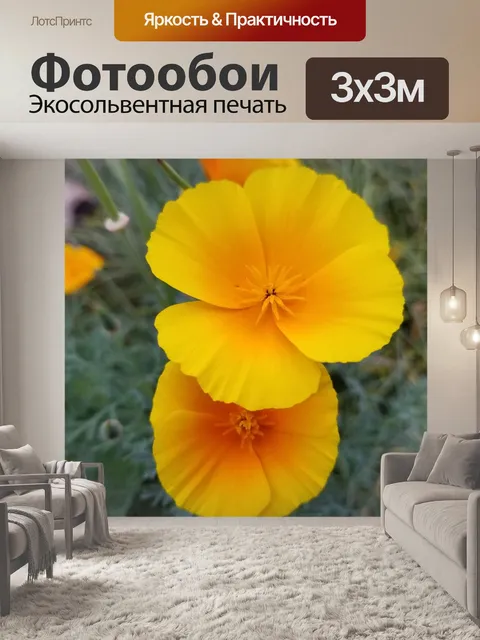 Фотообои Цветы