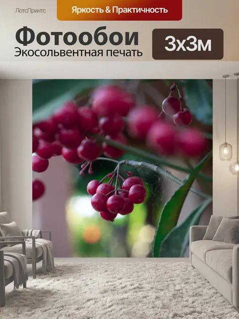Фотообои Сад