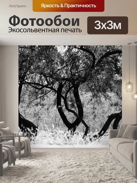 Фотообои стволы деревьев в черно-белом