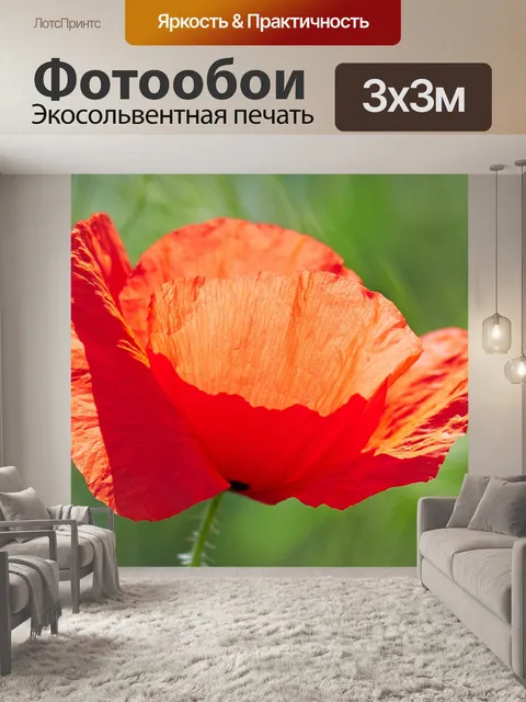 Фотообои Мак