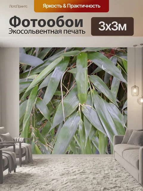 Фотообои Бамбук, зеленая листва, растительность