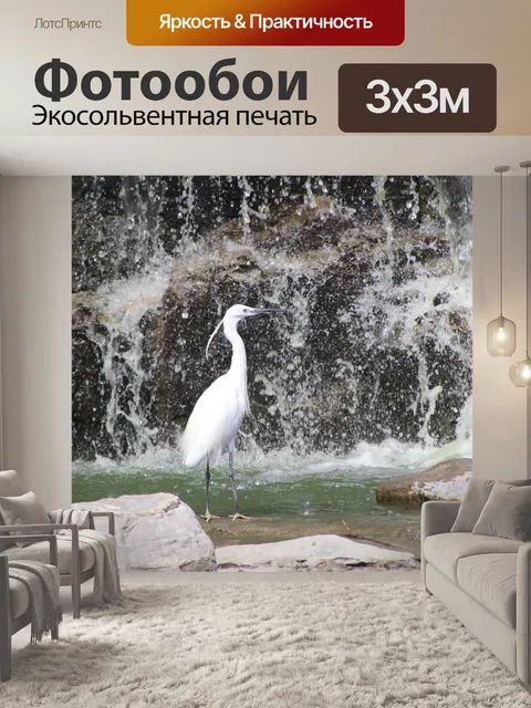Фотообои Малая белая цапля