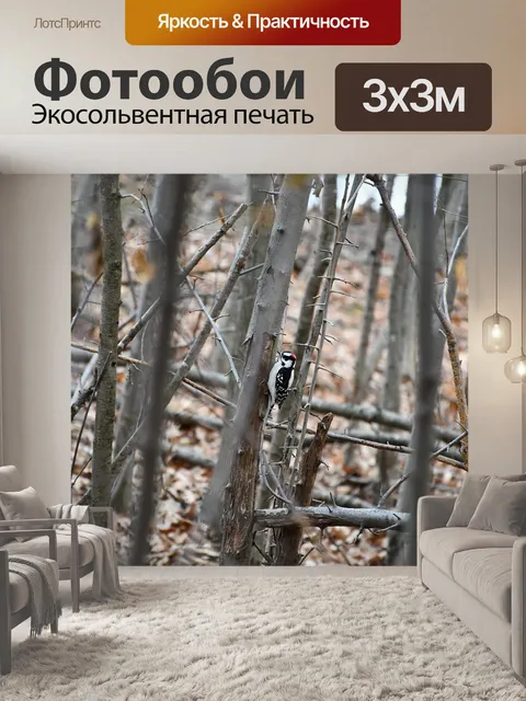 Фотообои Птица