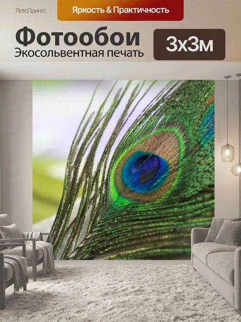Фотообои Павлин