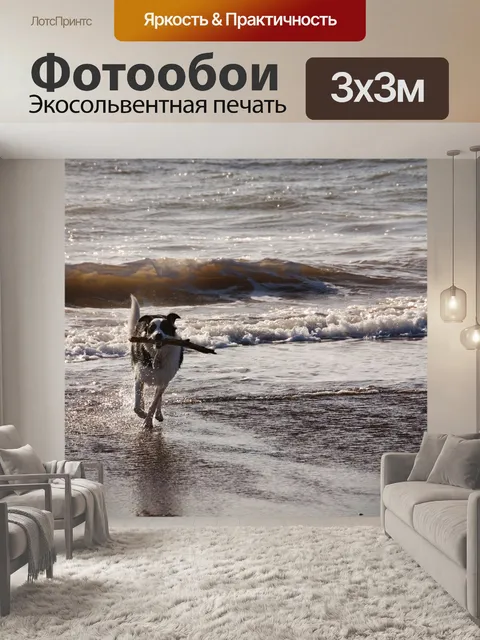 Фотообои Собака