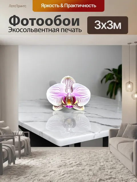 Фотообои орхидея, покоющаяся на белом мраморном столе, окруженная минималистичным декором