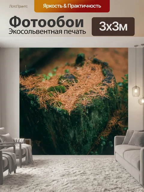 Фотообои Пень