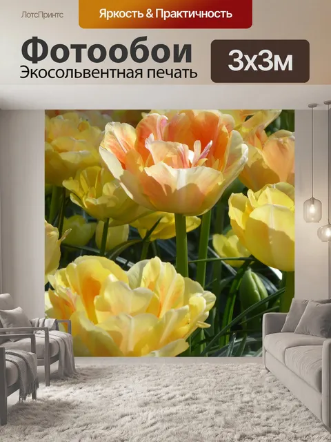 Фотообои Цветы