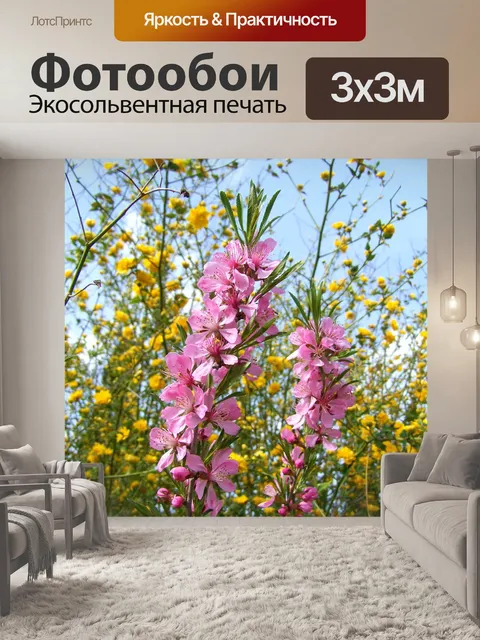 Фотообои Цветущая ветка кустарника миндаля