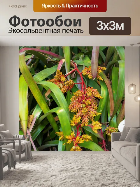 Фотообои Природа
