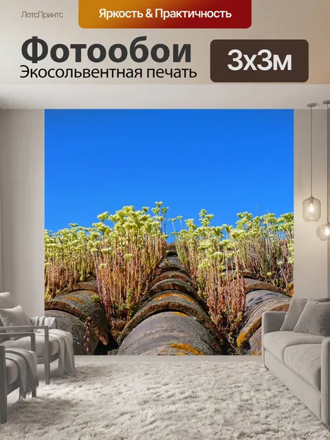 Фотообои Крыша