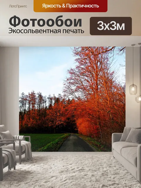 Фотообои Солнце