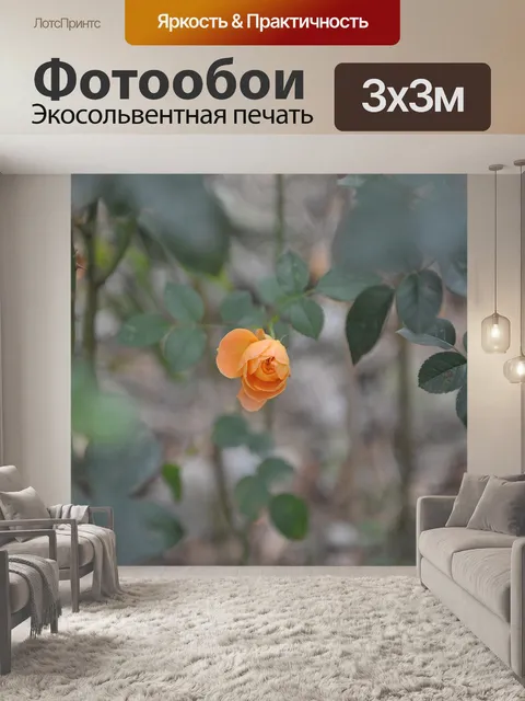 Фотообои Зеленые растения