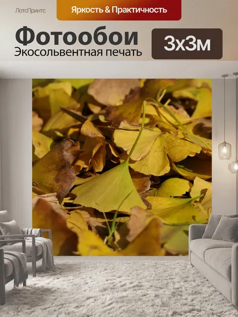 Фотообои Листопадные листья